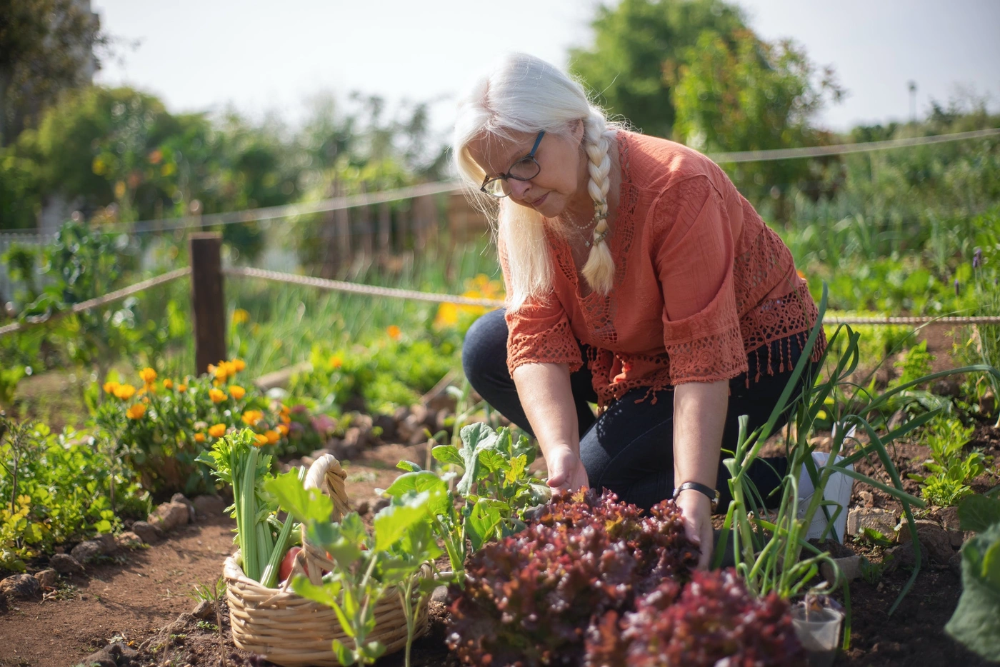 Image de présentation de l'article 5 good reasons to have a vegetable garden