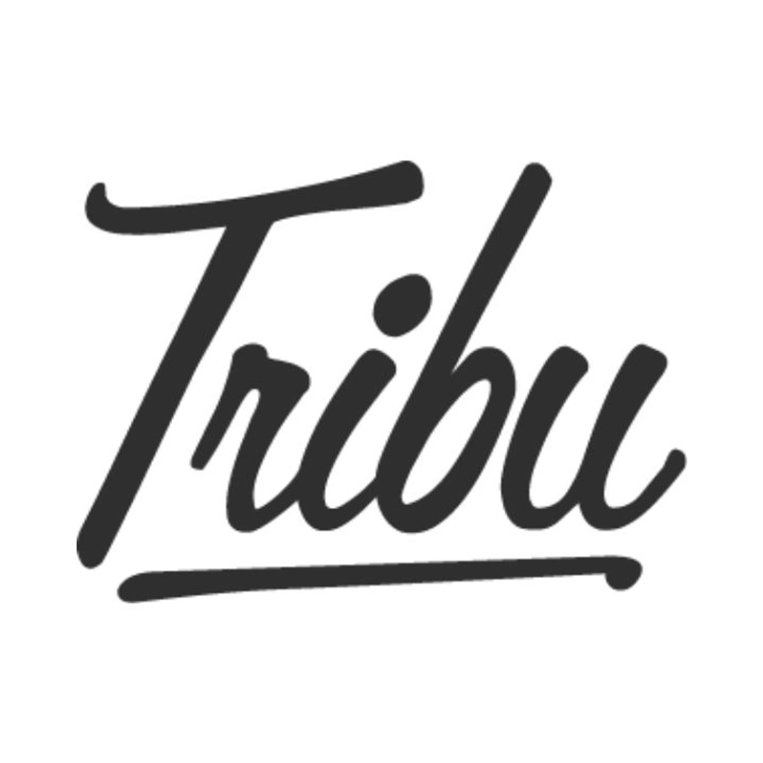 Logo of the company