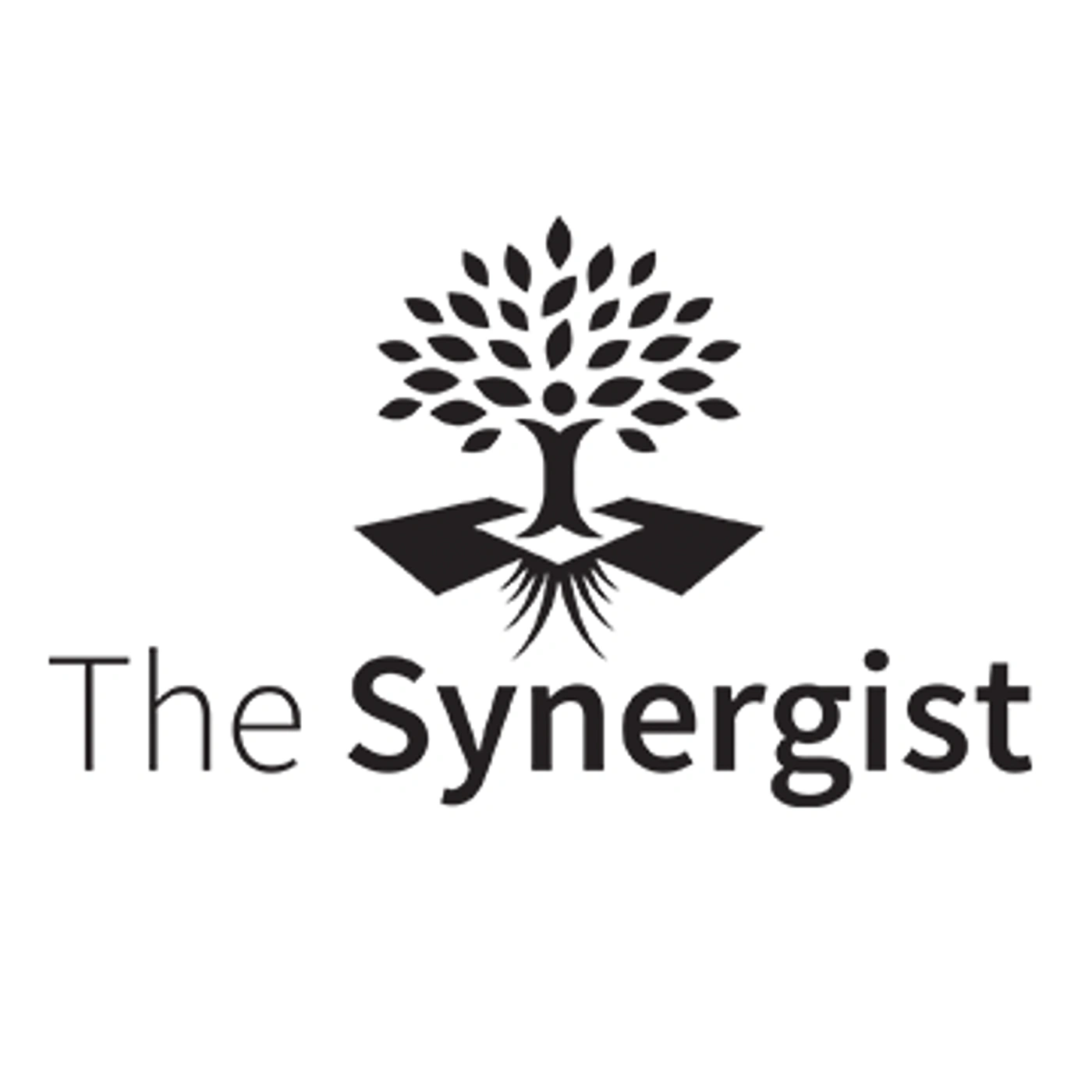 Logo of the company