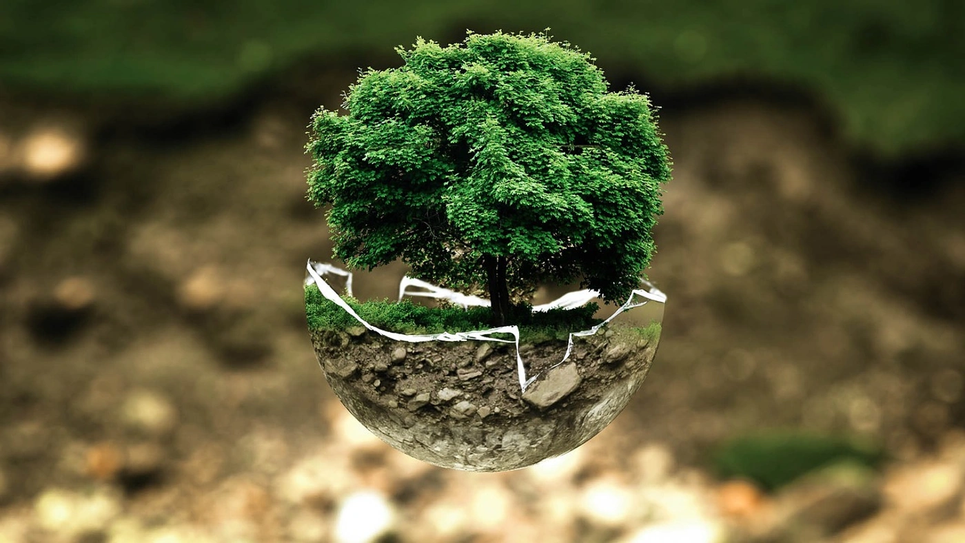 Image de présentation de l'article Ecologie: 3 sectoren die innoveren voor het milieu