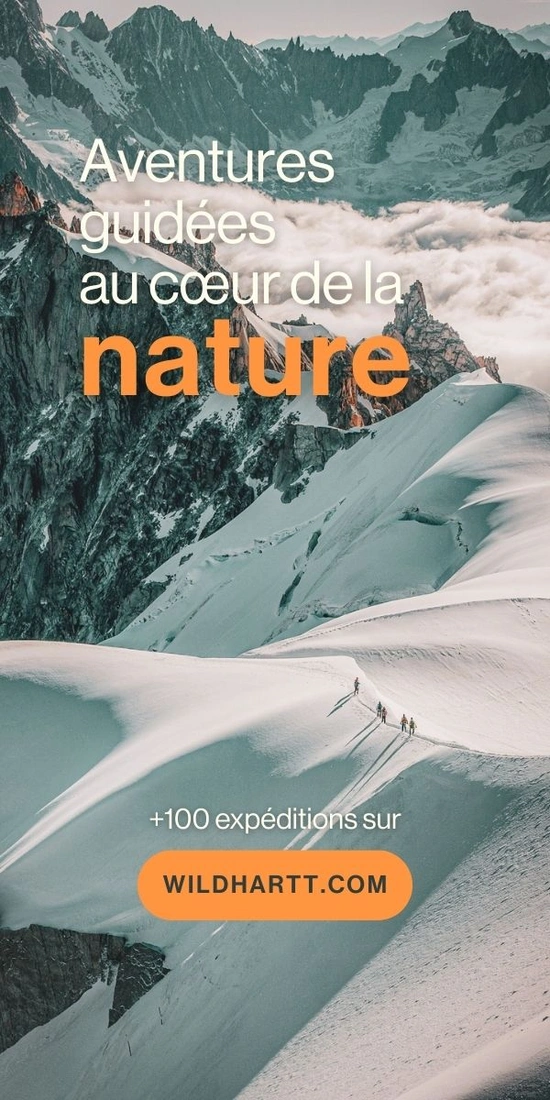 Wildhartt - 2ème campagne