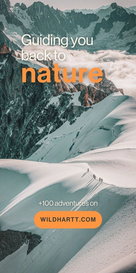 Wildhartt - 2ème campagne